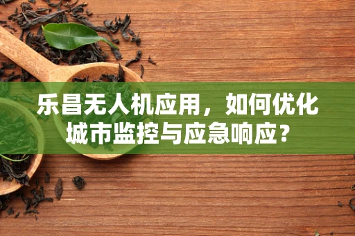 乐昌无人机应用，如何优化城市监控与应急响应？