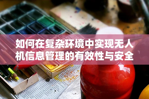 如何在复杂环境中实现无人机信息管理的有效性与安全性？