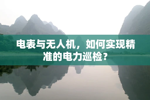 电表与无人机，如何实现精准的电力巡检？
