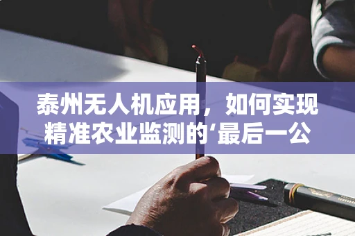 泰州无人机应用，如何实现精准农业监测的‘最后一公里’？