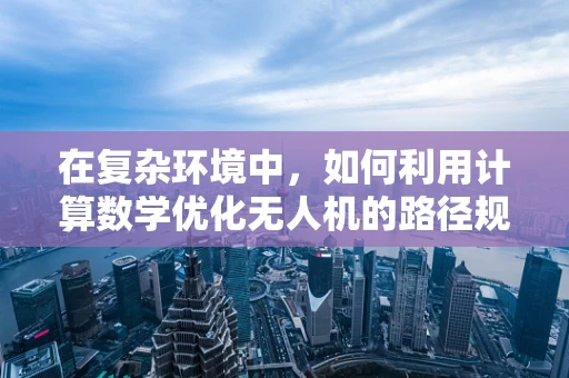 在复杂环境中，如何利用计算数学优化无人机的路径规划？