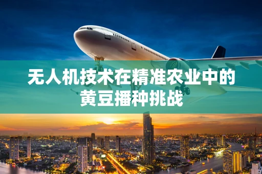 无人机技术在精准农业中的黄豆播种挑战