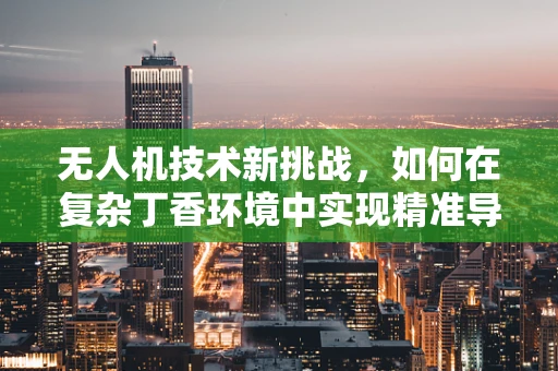无人机技术新挑战，如何在复杂丁香环境中实现精准导航？