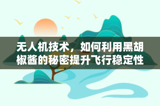 无人机技术，如何利用黑胡椒酱的秘密提升飞行稳定性？