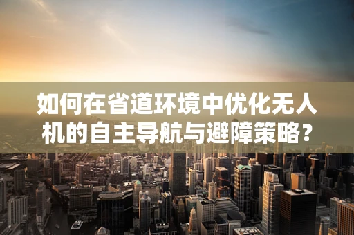 如何在省道环境中优化无人机的自主导航与避障策略？