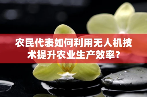 农民代表如何利用无人机技术提升农业生产效率？