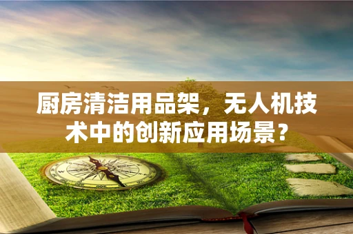 厨房清洁用品架，无人机技术中的创新应用场景？