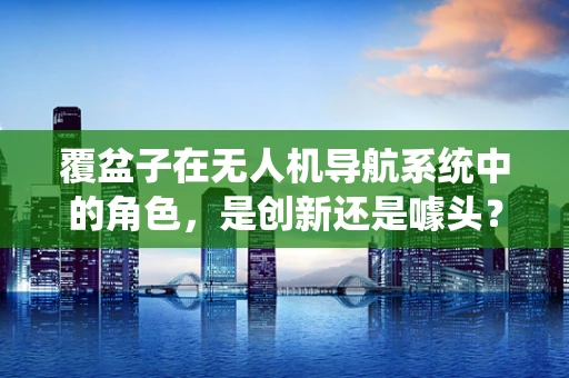 覆盆子在无人机导航系统中的角色，是创新还是噱头？