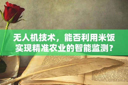 无人机技术，能否利用米饭实现精准农业的智能监测？