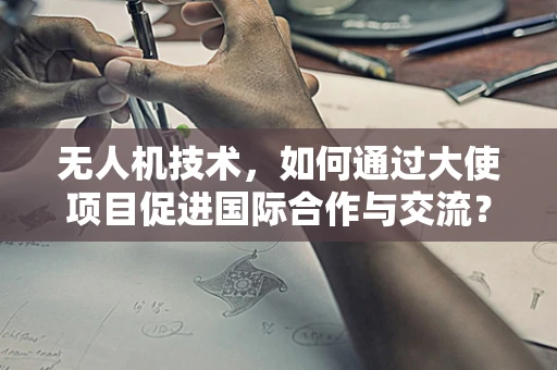 无人机技术，如何通过大使项目促进国际合作与交流？
