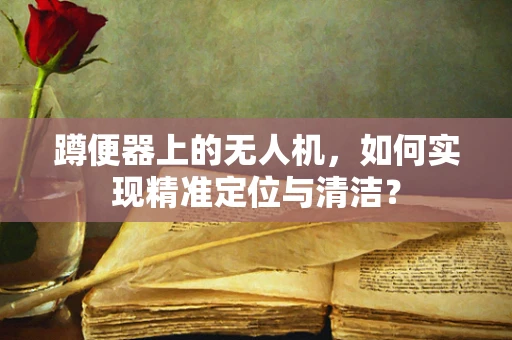 蹲便器上的无人机，如何实现精准定位与清洁？