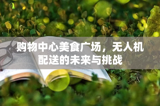 购物中心美食广场，无人机配送的未来与挑战