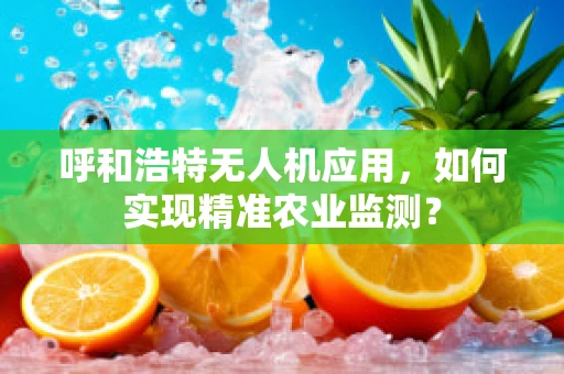 呼和浩特无人机应用，如何实现精准农业监测？