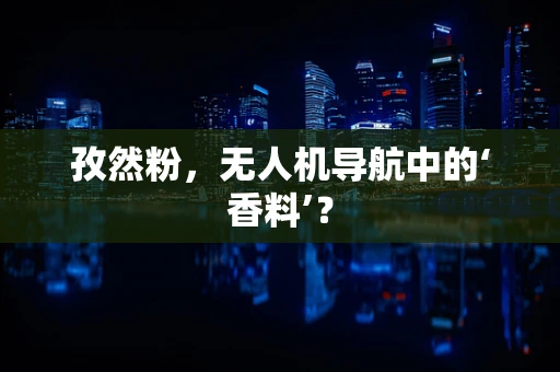 孜然粉，无人机导航中的‘香料’？
