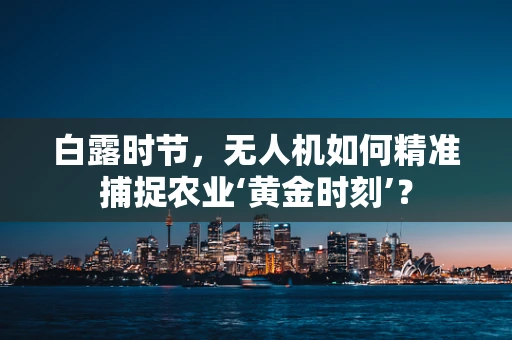 白露时节，无人机如何精准捕捉农业‘黄金时刻’？
