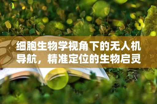 细胞生物学视角下的无人机导航，精准定位的生物启灵？