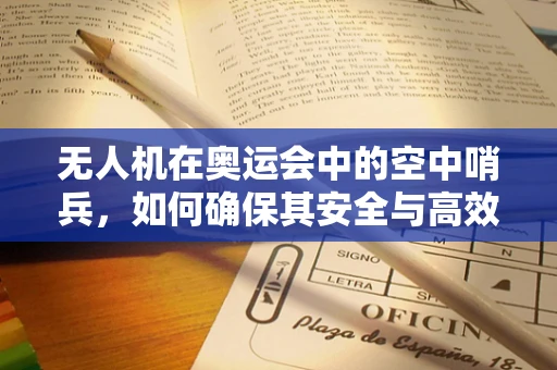 无人机在奥运会中的空中哨兵，如何确保其安全与高效？