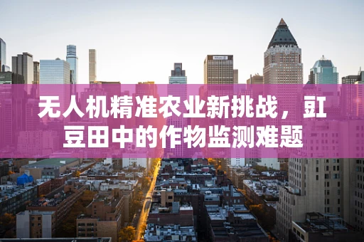 无人机精准农业新挑战，豇豆田中的作物监测难题