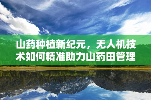 山药种植新纪元，无人机技术如何精准助力山药田管理？