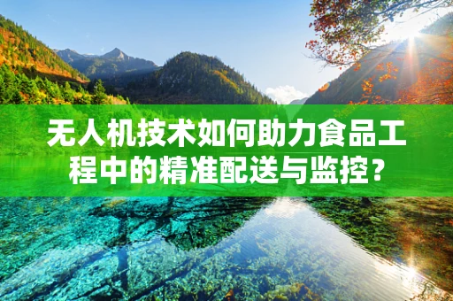 无人机技术如何助力食品工程中的精准配送与监控？