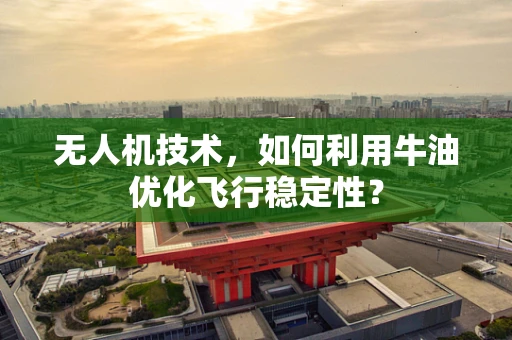 无人机技术，如何利用牛油优化飞行稳定性？