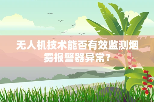 无人机技术能否有效监测烟雾报警器异常？