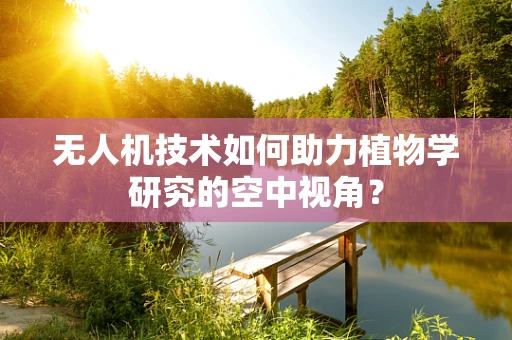 无人机技术如何助力植物学研究的空中视角？