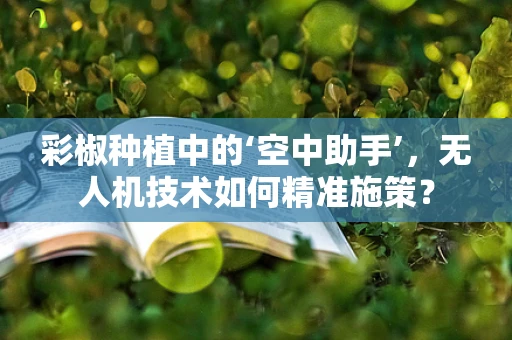 彩椒种植中的‘空中助手’，无人机技术如何精准施策？