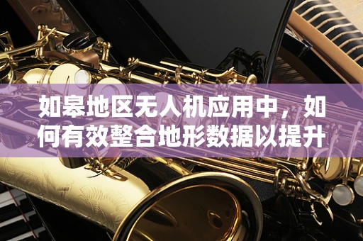 如皋地区无人机应用中，如何有效整合地形数据以提升精准农业的实践？