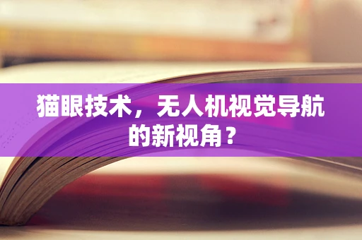 猫眼技术，无人机视觉导航的新视角？