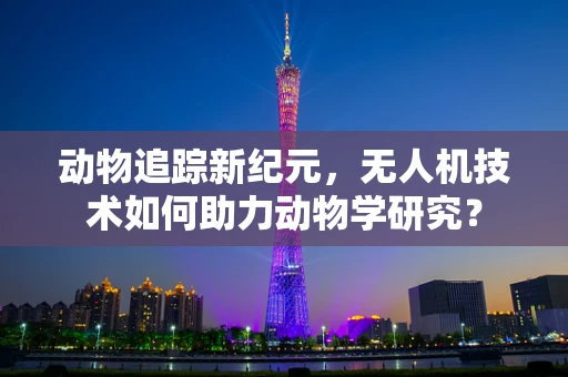 动物追踪新纪元，无人机技术如何助力动物学研究？