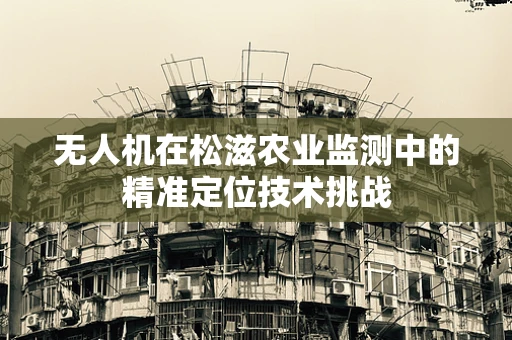 无人机在松滋农业监测中的精准定位技术挑战