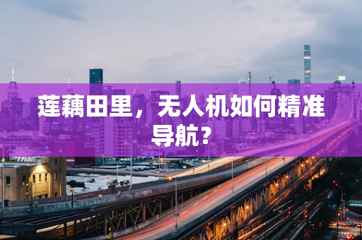 莲藕田里，无人机如何精准导航？