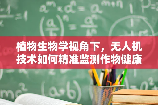 植物生物学视角下，无人机技术如何精准监测作物健康？