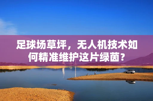 足球场草坪，无人机技术如何精准维护这片绿茵？