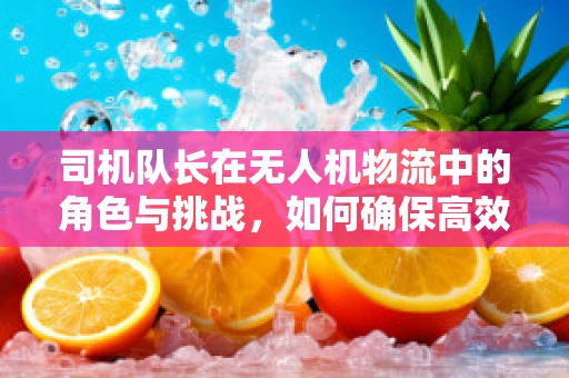 司机队长在无人机物流中的角色与挑战，如何确保高效安全配送？
