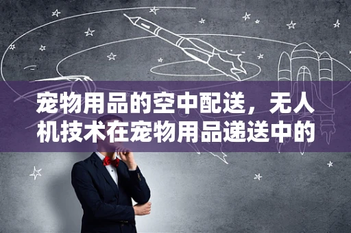 宠物用品的空中配送，无人机技术在宠物用品递送中的挑战与机遇？