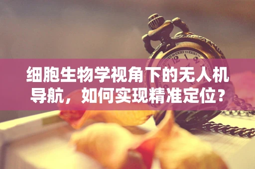 细胞生物学视角下的无人机导航，如何实现精准定位？