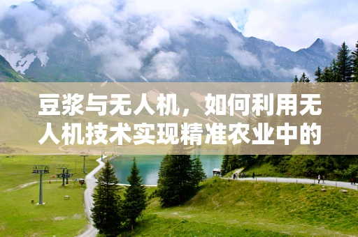 豆浆与无人机，如何利用无人机技术实现精准农业中的作物监测？