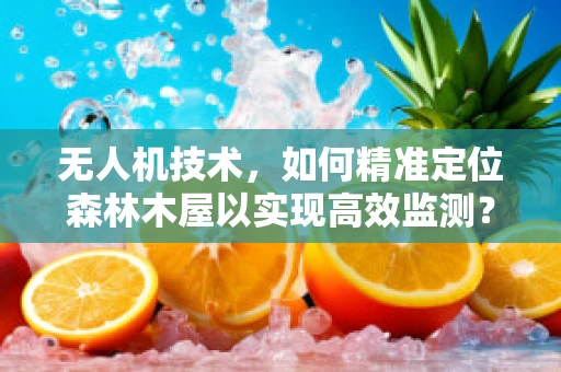 无人机技术，如何精准定位森林木屋以实现高效监测？
