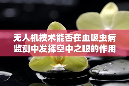 无人机技术能否在血吸虫病监测中发挥空中之眼的作用？