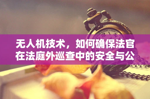 无人机技术，如何确保法官在法庭外巡查中的安全与公正？