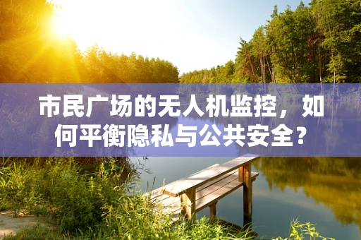 市民广场的无人机监控，如何平衡隐私与公共安全？