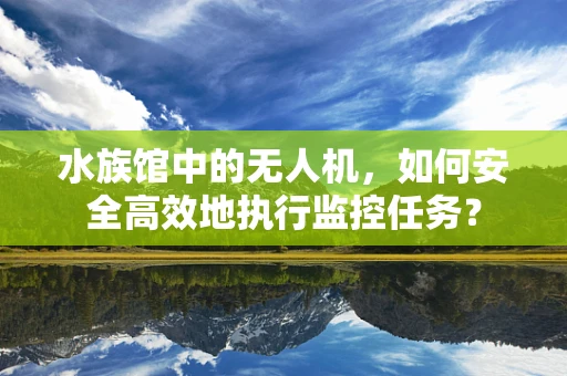 水族馆中的无人机，如何安全高效地执行监控任务？