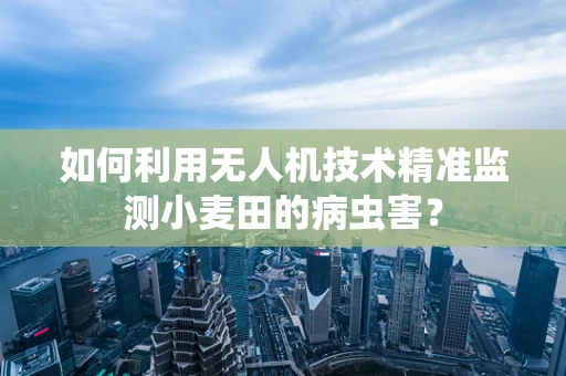 如何利用无人机技术精准监测小麦田的病虫害？