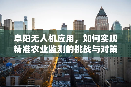 阜阳无人机应用，如何实现精准农业监测的挑战与对策？