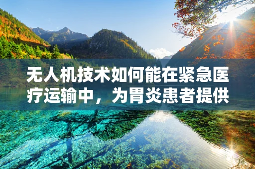无人机技术如何能在紧急医疗运输中，为胃炎患者提供快速响应？