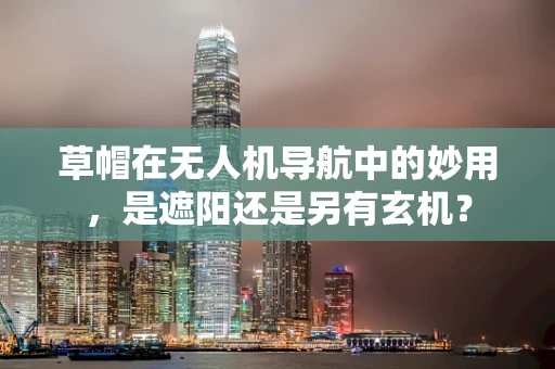 草帽在无人机导航中的妙用，是遮阳还是另有玄机？