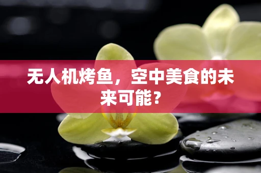 无人机烤鱼，空中美食的未来可能？