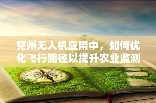 兖州无人机应用中，如何优化飞行路径以提升农业监测效率？
